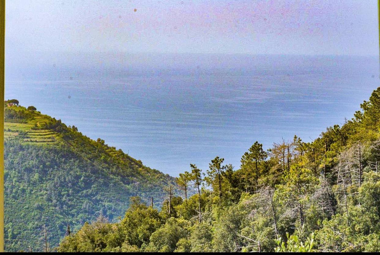 Ca Du Bene Villa Vernazza Esterno foto