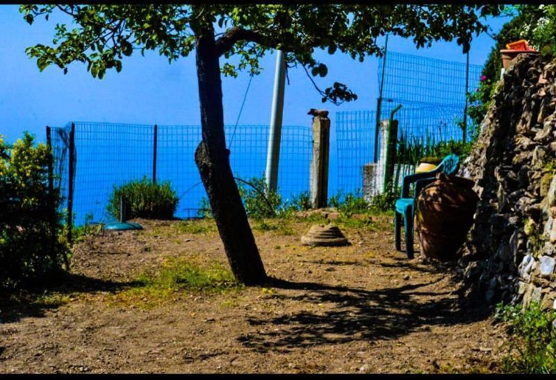 Ca Du Bene Villa Vernazza Esterno foto